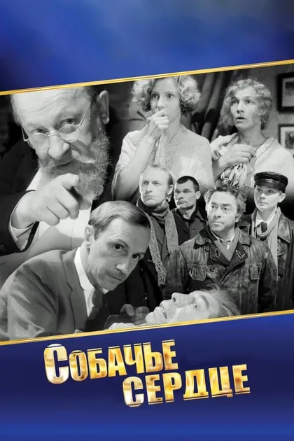 Александр Пашкевич