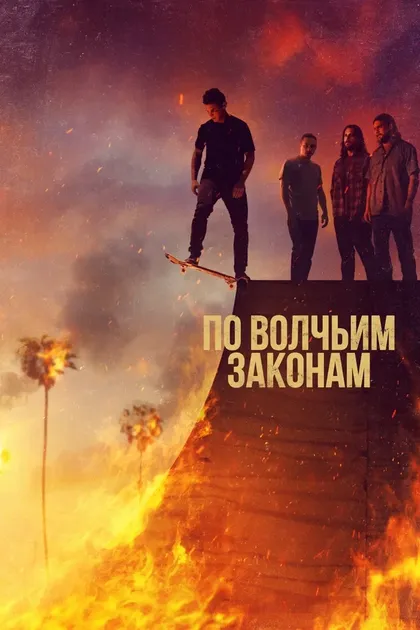 Дэйв Родригез